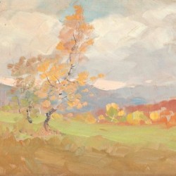Landscape along Valea Doftanei